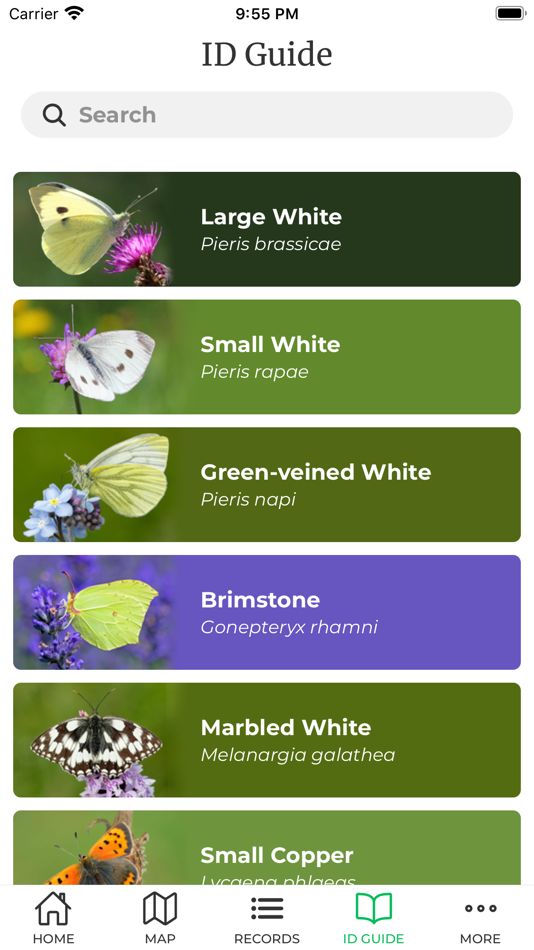 #5. Big Butterfly Count (iOS) Podle: Butterfly Conservation Trading Ltd