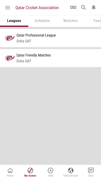 Qatar Cricket Screenshot