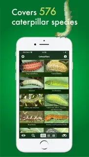 caterpillar id usa east coast iphone screenshot 2