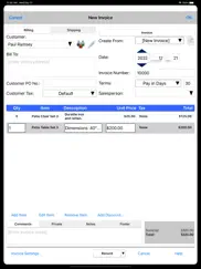express invoice professional ipad bildschirmfoto 2
