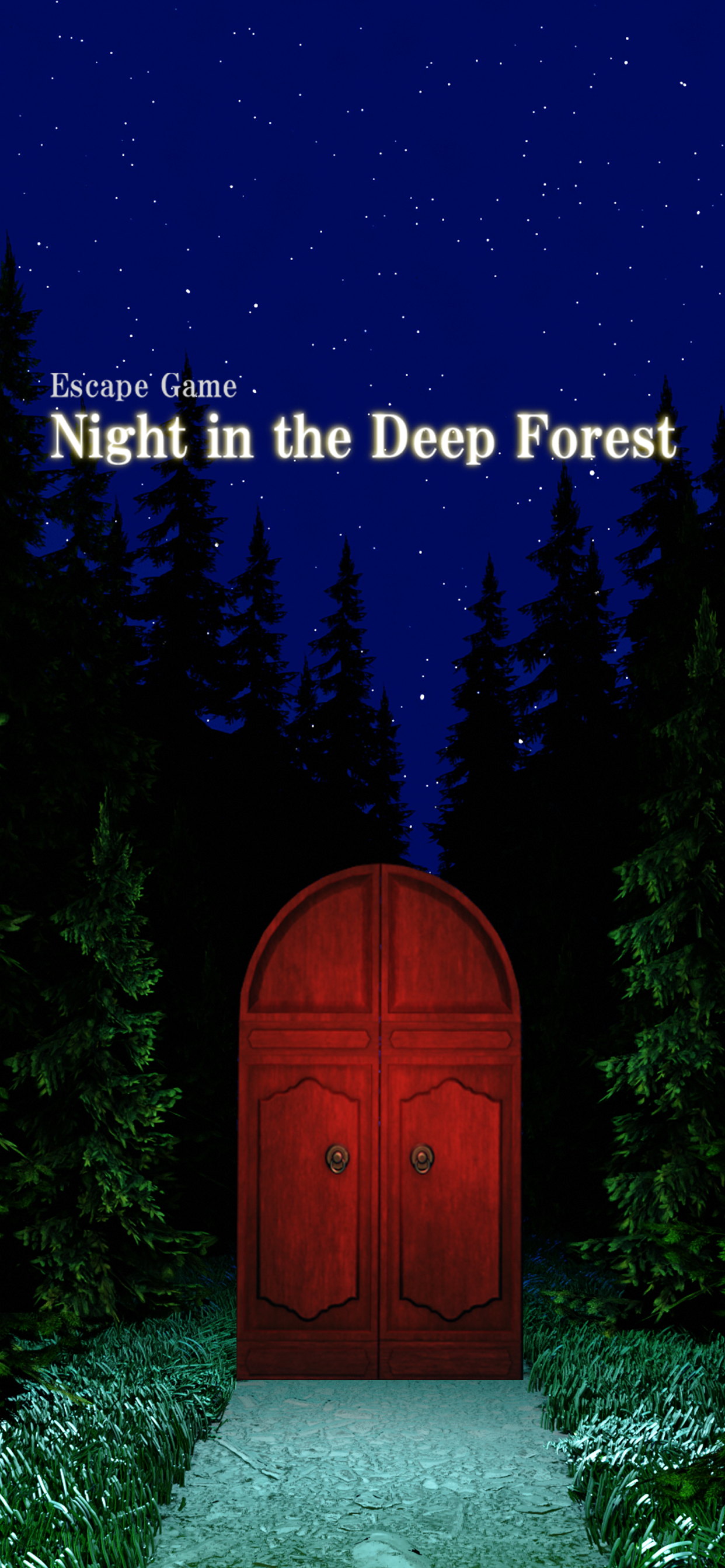 Night in the Deep Forest