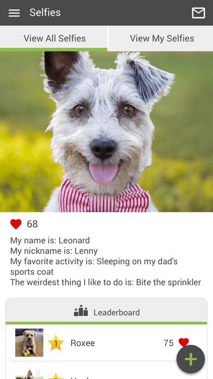 Faulkville Animal Hospital screenshot-3