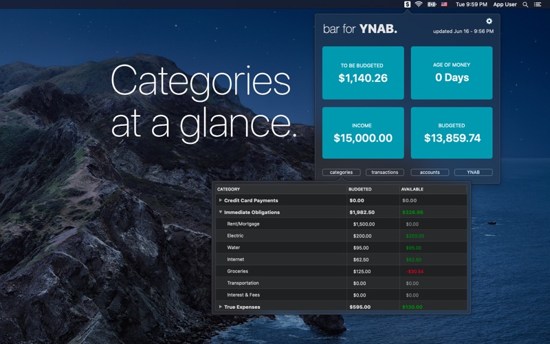 bar for YNAB Screenshot