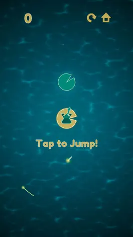Game screenshot Dizzy Frog hack