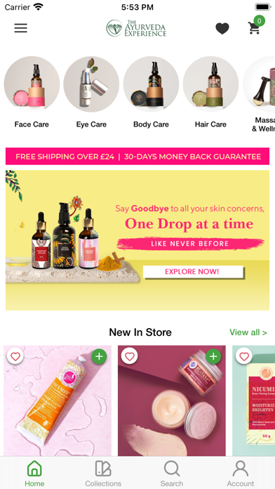 The Ayurveda Experience UK Screenshot
