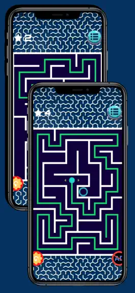 Game screenshot Maze game: Perplexus 2D mod apk