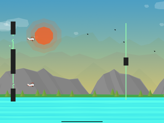 Screenshot #1 for Twin Planes