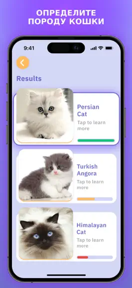 Game screenshot Cat Scanner : Breed Identifier apk