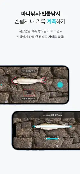 Game screenshot 랭킹피쉬 hack