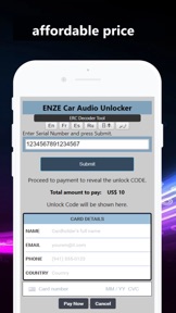 ERC Car Audio/ NAVI Unlocker screenshot