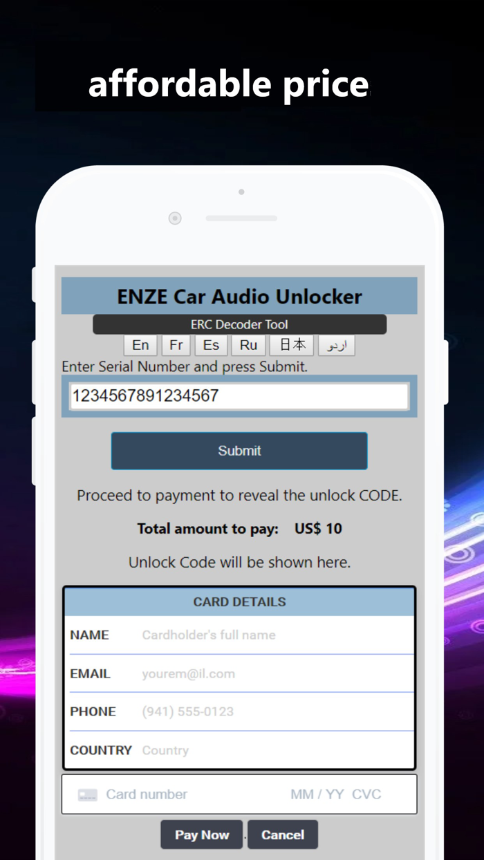 ERC Car Audio- NAVI Unlocker