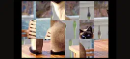 Game screenshot Adorable Cat Puzzles mod apk