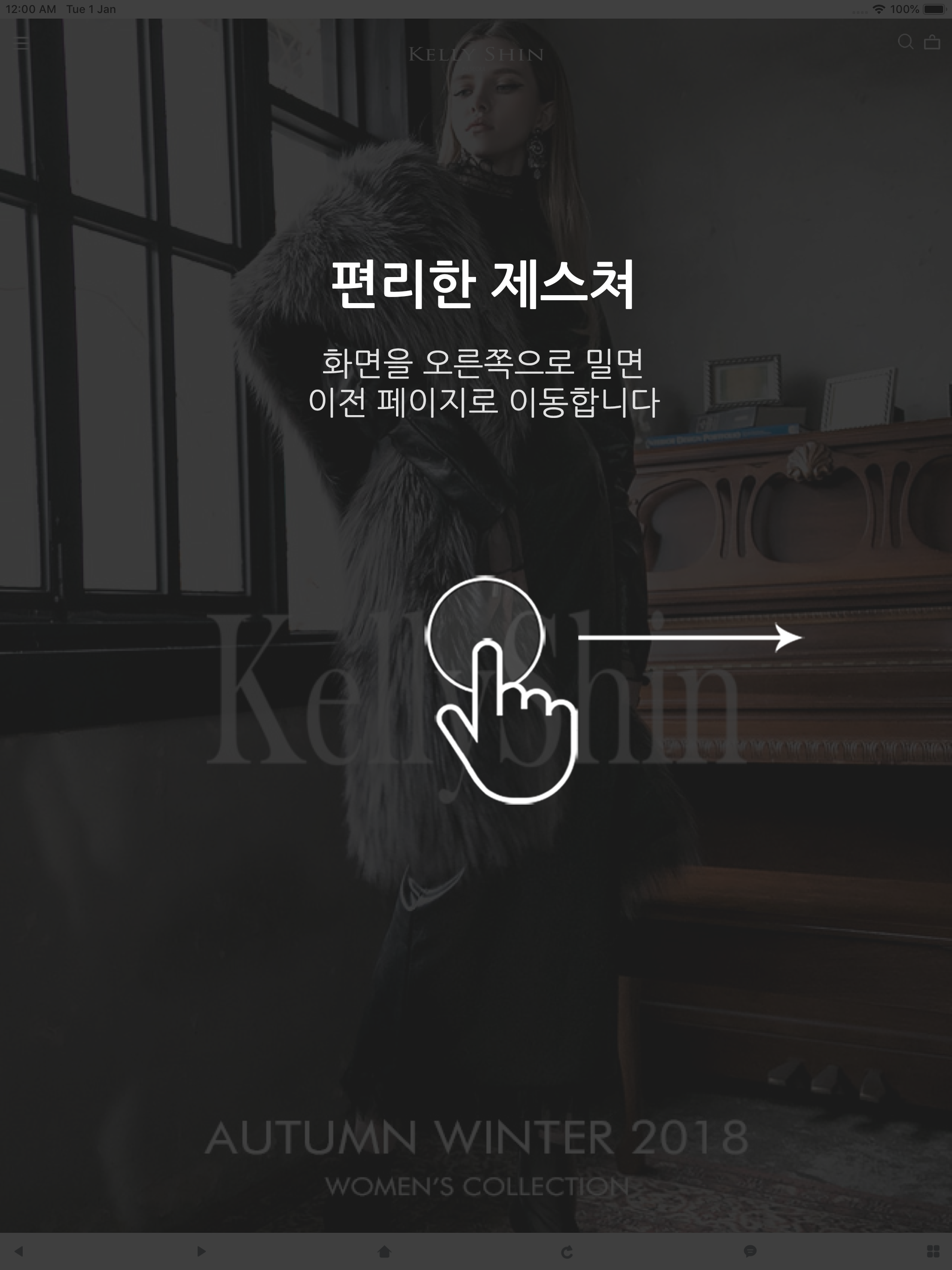 켈리신 KELLY SHIN screenshot 5