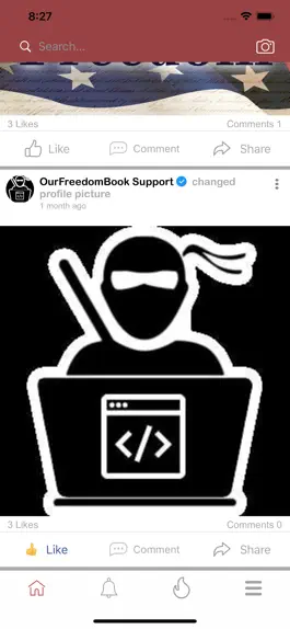 Game screenshot Our Freedom Book hack