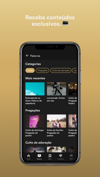 PIB Montenegro Screenshot