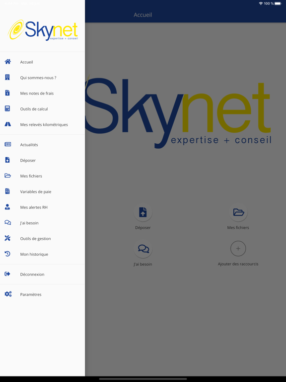 Screenshot #5 pour Skynet Expert Comptable