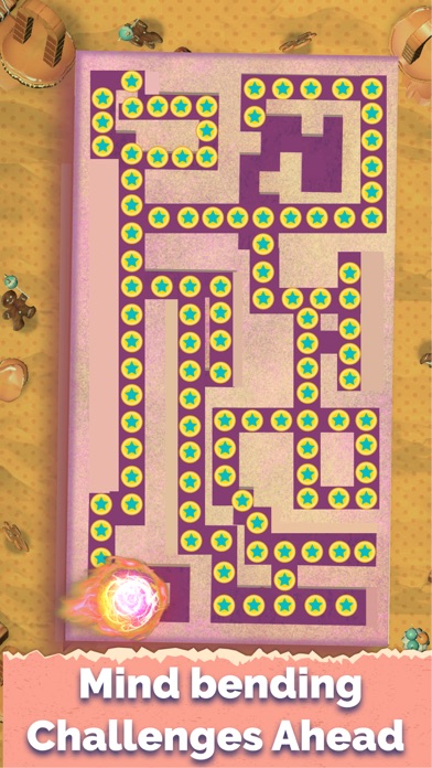 Push Ball - Maze Puzzle Screenshot