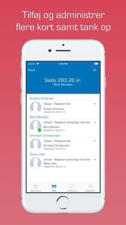 Rejsekort med Det Blå Punkt screenshot-3
