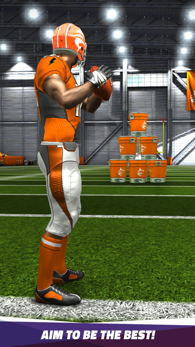 Flick Quarterback 24 Screenshot