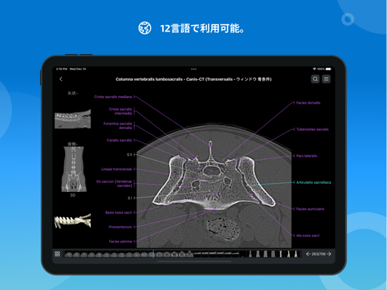 vet-Anatomyのおすすめ画像5