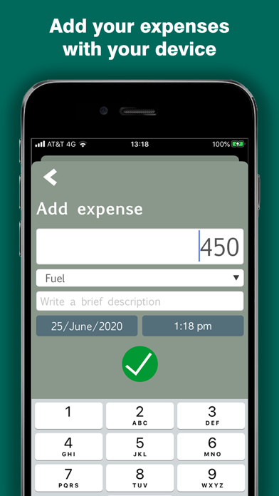 Shopping Expenses: Finance Screenshot