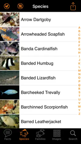 Game screenshot Marine Fish Maldives hack