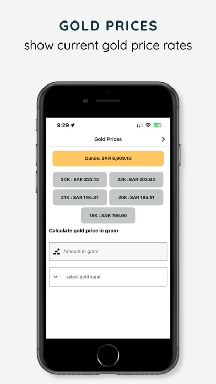 Digital accountant screenshot-7