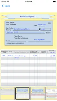 write checks iphone screenshot 4