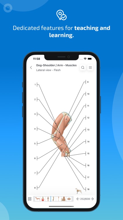 IMAIOS vet-Anatomy screenshot-7