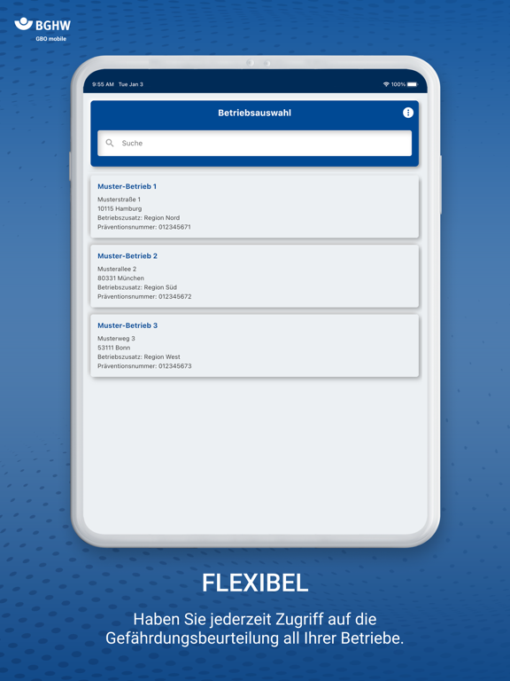 Screenshot #4 pour GBO mobile