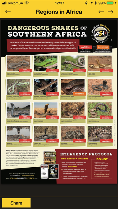 ASI Snakes Screenshot