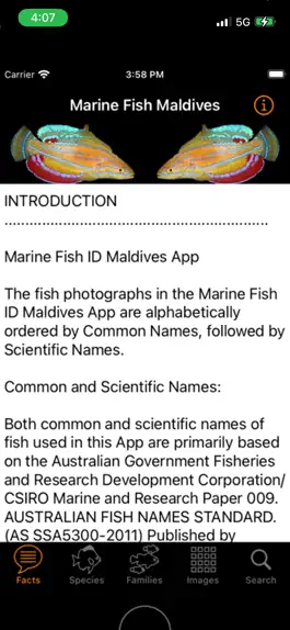 Game screenshot Marine Fish Maldives apk