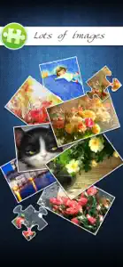 Jigsaw Puzzle Pro+ screenshot #3 for iPhone