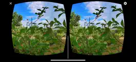 Game screenshot VR360 Flowers & Nature mod apk