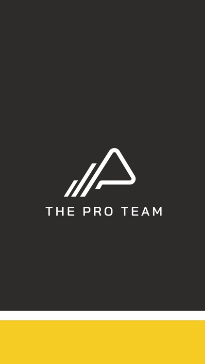 The Pro Team
