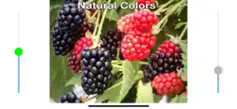 Game screenshot Color Mate - Colour blind help hack