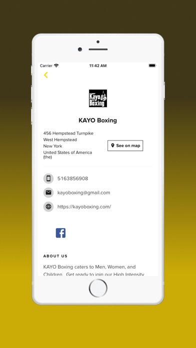KAYO BOXING Screenshot