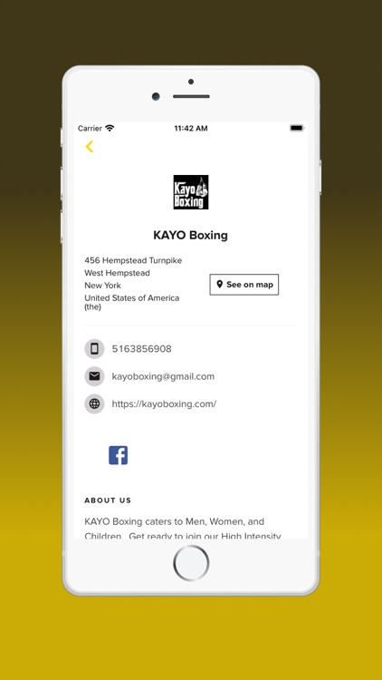 KAYO BOXING screenshot-3