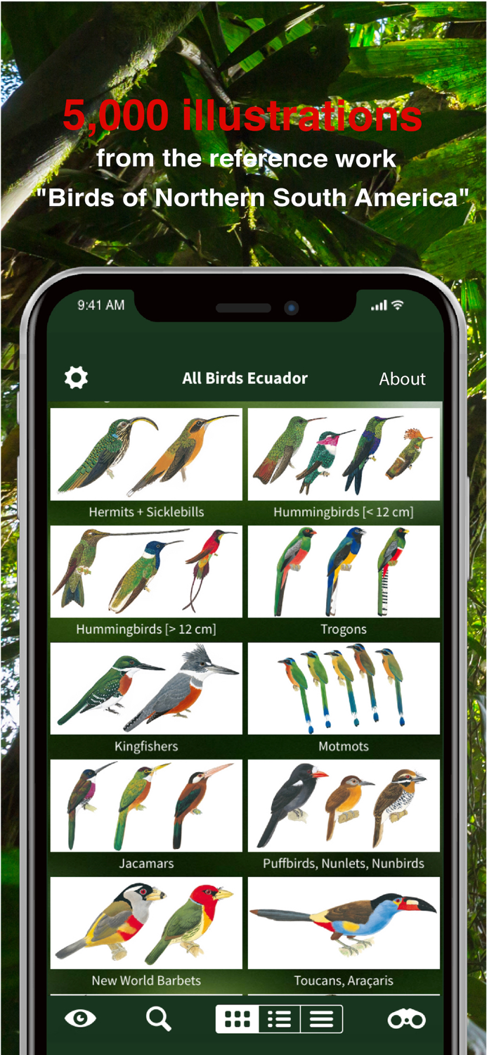All Birds Ecuador field guide