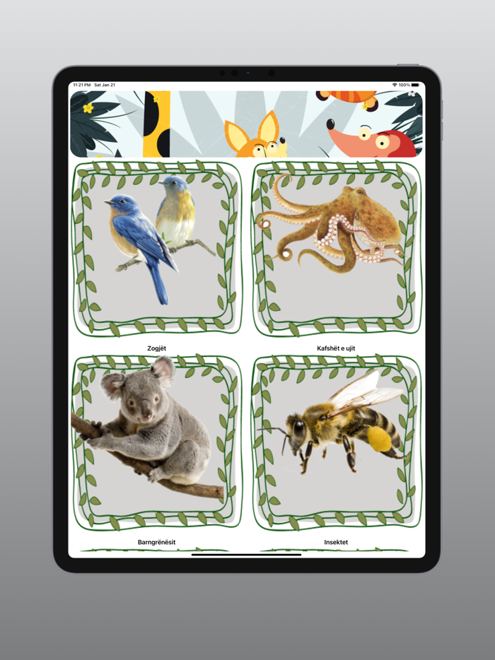 Tingujt e kafshëve SHQIP