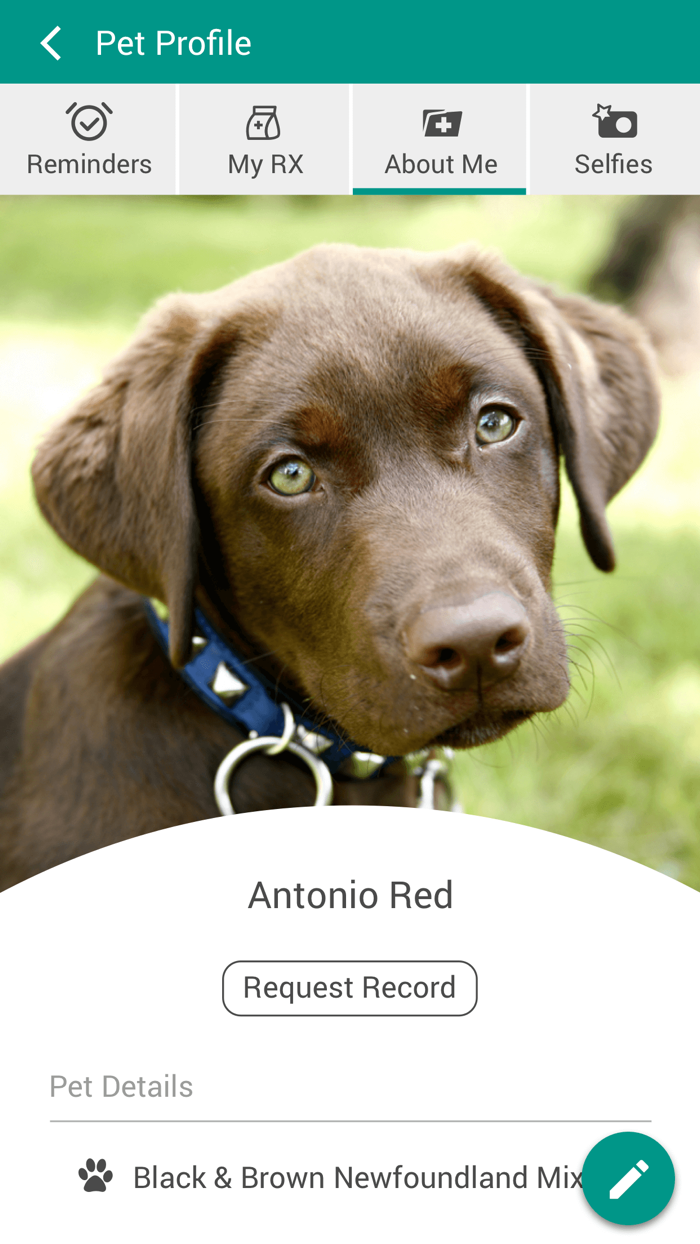 Integrative Vet Service