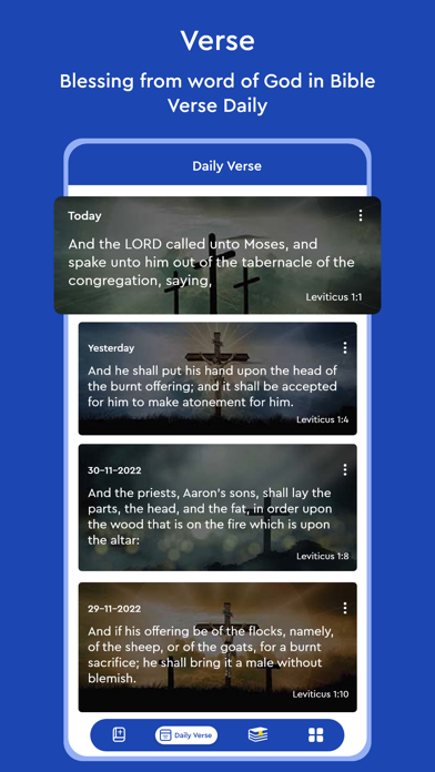 Hindi Bible - The Holy Version Screenshot