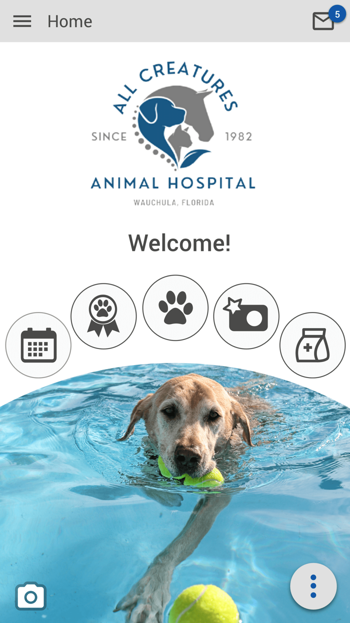 All Creatures Wauchula