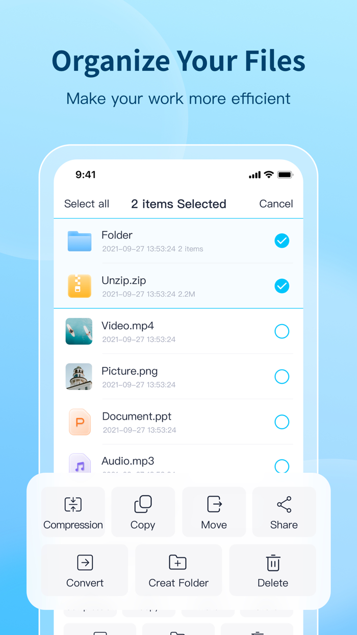 100ZG-Format Conversion