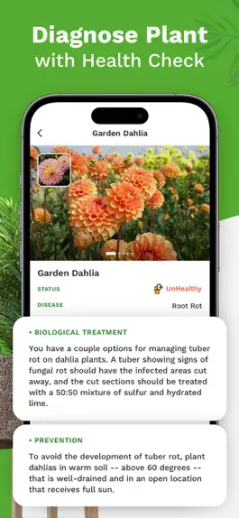 Game screenshot AI Plant Identifier :PlantID hack