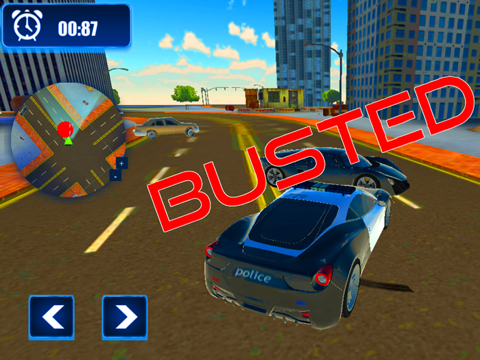 Police Chase Car Criminals