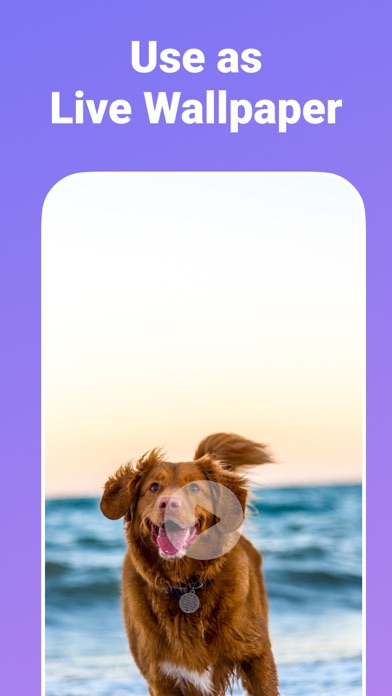 Video to GIF Maker : Converter Screenshot