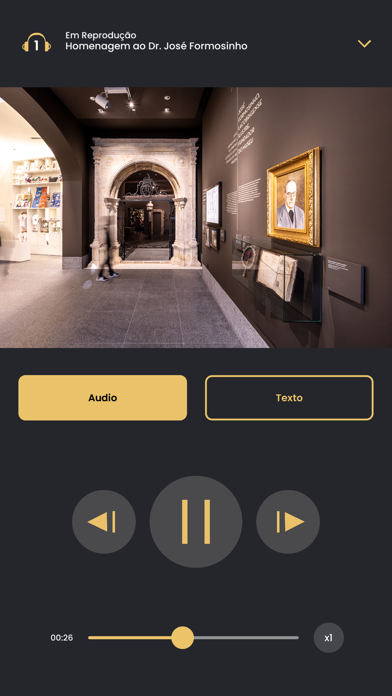 Museu de Lagos Screenshot
