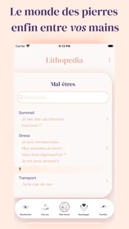 Game screenshot Lithopedia mod apk