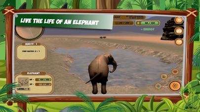 Safari Animals Simulator screenshot 5